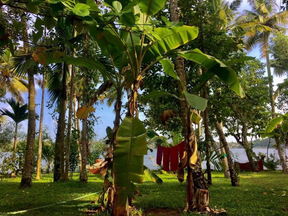 Ashtamudi Villa Kollam Eksteriør bilde